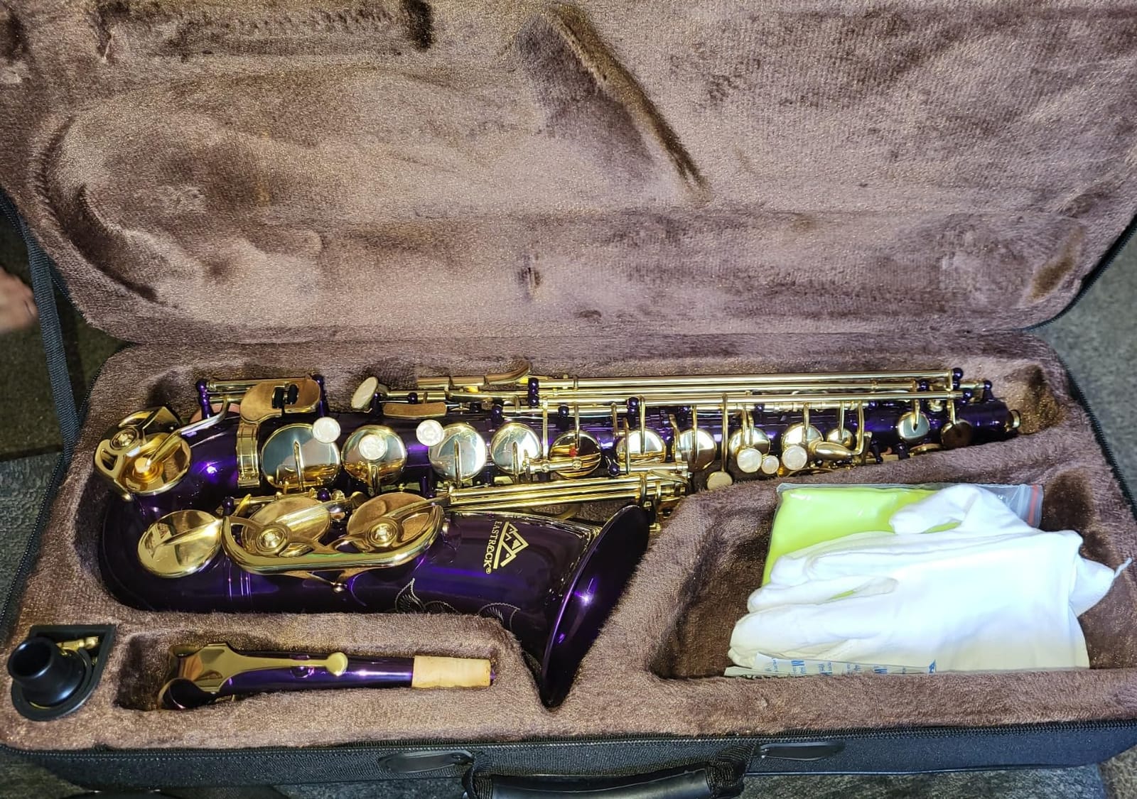 EASTROCK E Flat Alto Saxophone Gold Alto Sax for Beginners and Students | Alto Sax Kit-Carrying Case, Mouthpiece, Reeds, Cushion Pads, Cleaning Kit, Gloves, Neck Strap for Practice & Performance customer photo 2