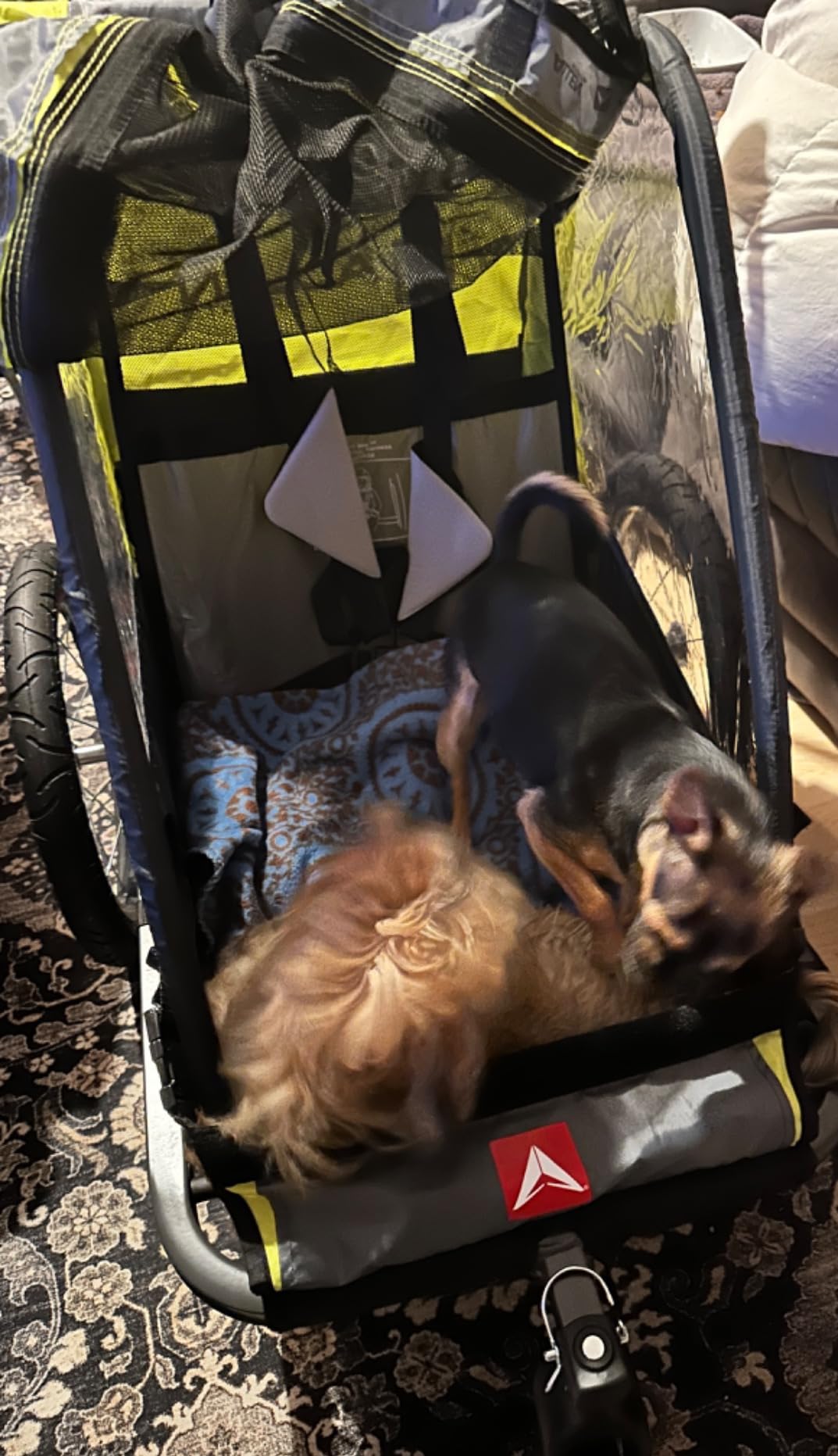 Allen Sports Deluxe Bike Trailer & Stroller customer photo 2