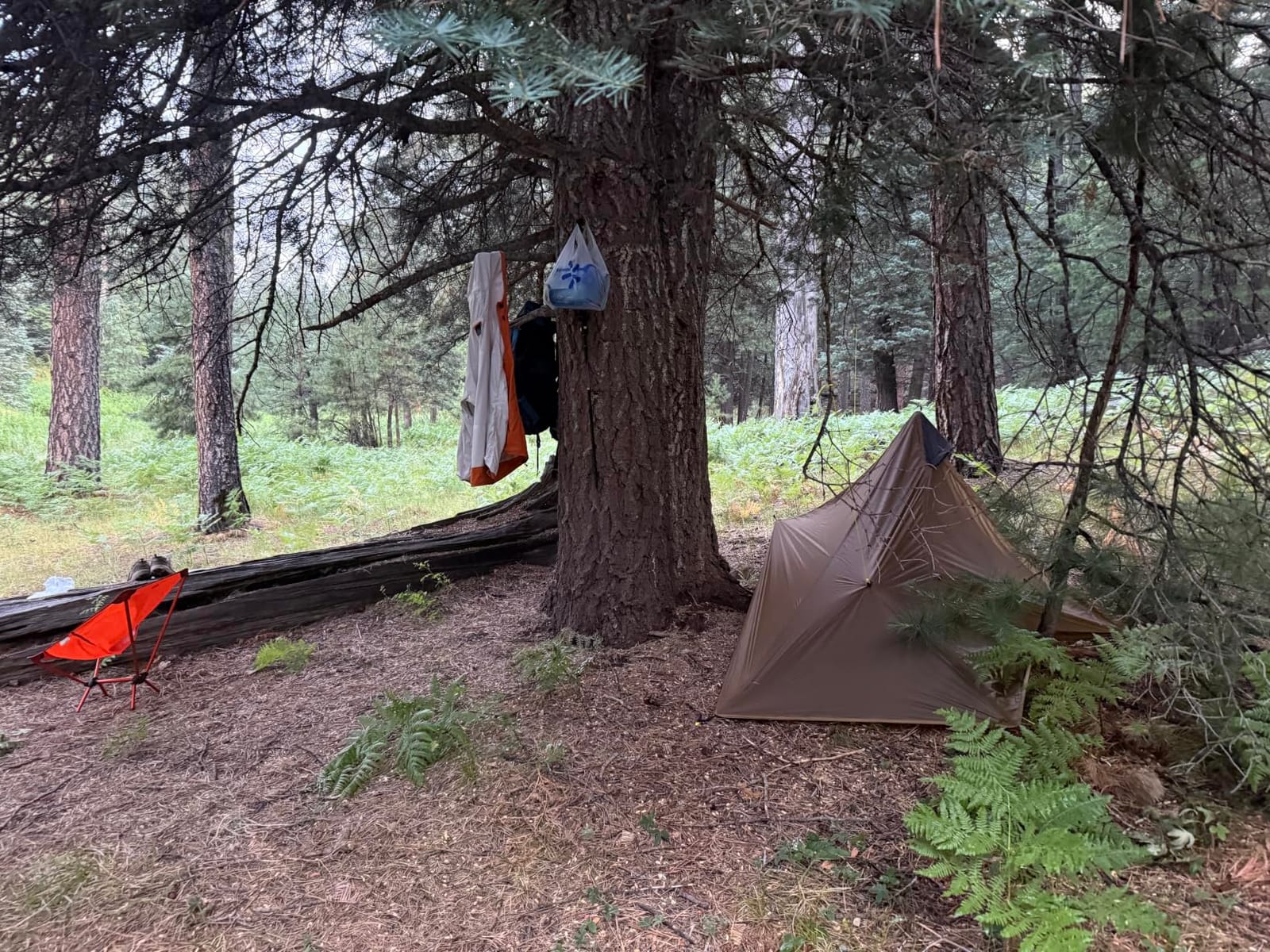 Night Cat Ultralight Tent 1 Person for Professional Backpacker Hiker 2 LBS Only Lanshan Backpacking Bivvy Ground Tent Heavy Rain Waterproof Trekking Pole Not Included customer photo 1