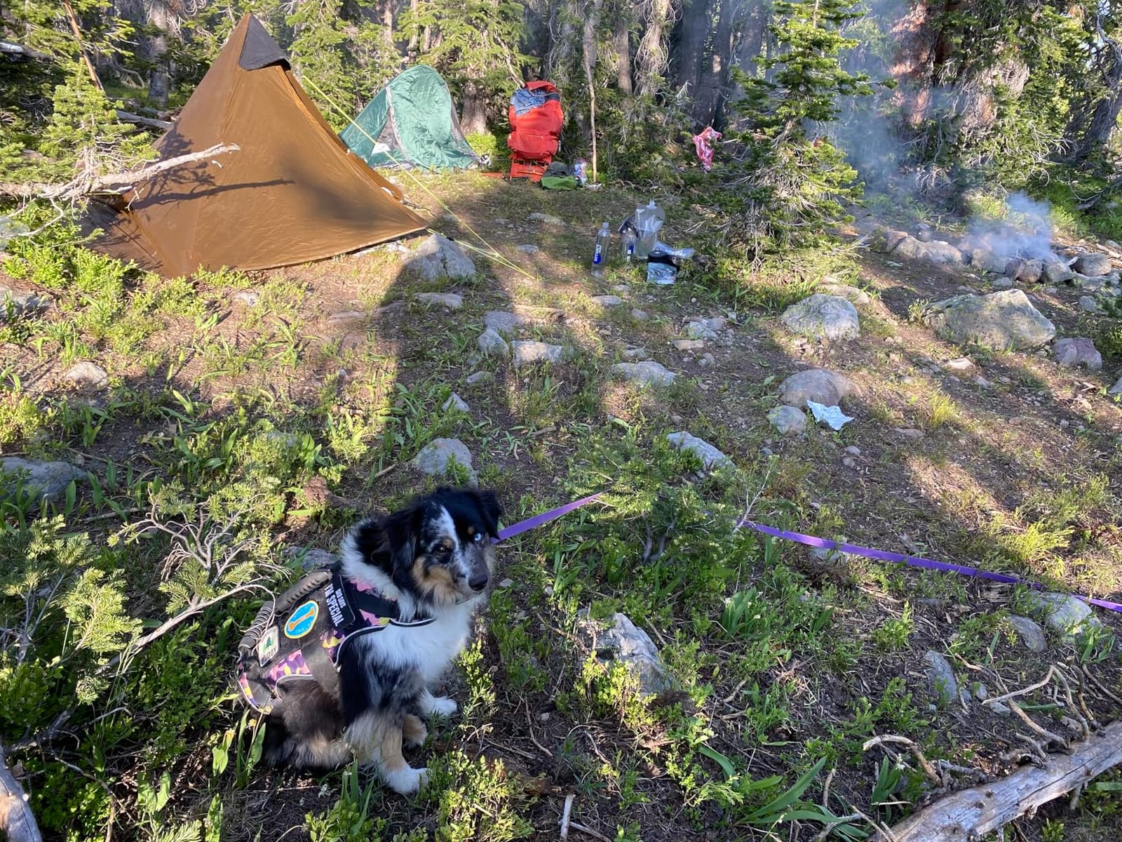 Night Cat Ultralight Tent 1 Person for Professional Backpacker Hiker 2 LBS Only Lanshan Backpacking Bivvy Ground Tent Heavy Rain Waterproof Trekking Pole Not Included customer photo 2