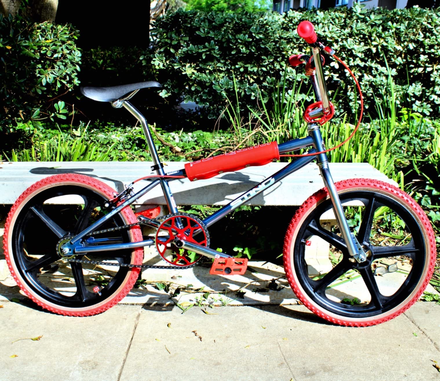 Schwinn Sting Pro and Predator Team BMX Bike for Kids/Youth, Retro Design, Single-Speed, Hi-Ten Steel Frame, 20 or 24-Inch Wheels, Multiple Colors customer photo 2