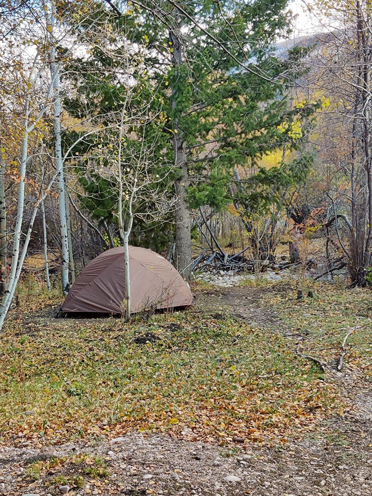 OneTigris COSMITTO 2 Person Backpacking Tent Shelter- Free Standing Lightweight Waterproof 3 Season Camping Tent for Outdoor Hiking Mountaineering customer photo 2