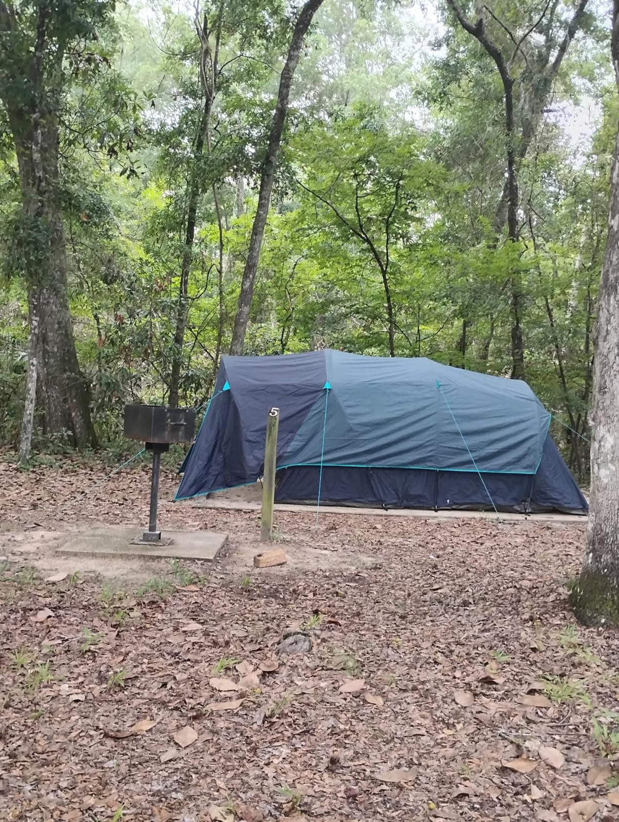 Timber Ridge 8 Person Camping Tent with Large Porch, Portable Waterproof Windproof Family Tent with Rainfly Carry Bag Room Divider, Easy Set-up Tent with Excellent Ventilation for Camping, 3 Season customer photo 2