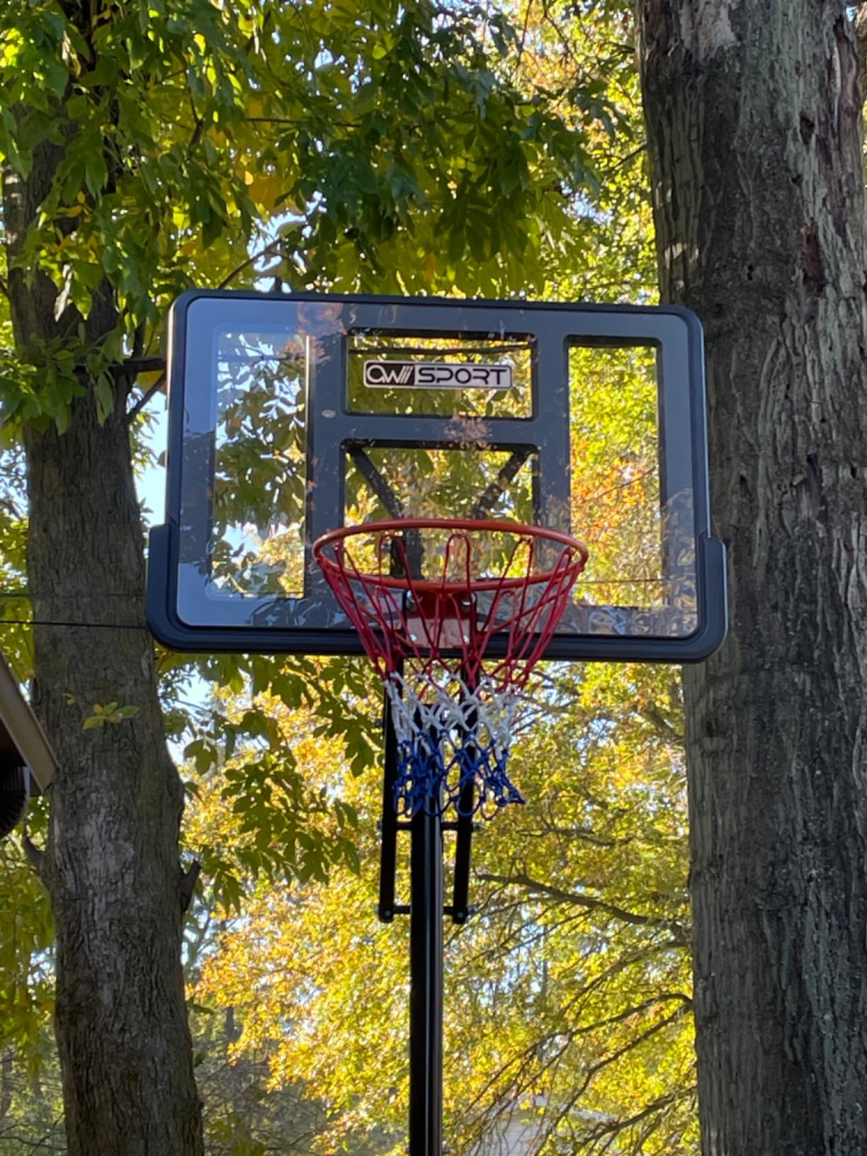 Basketball Hoop 40/44/48 Inch Impact Backboard 4.8-10FT Height Adjustable customer photo 1
