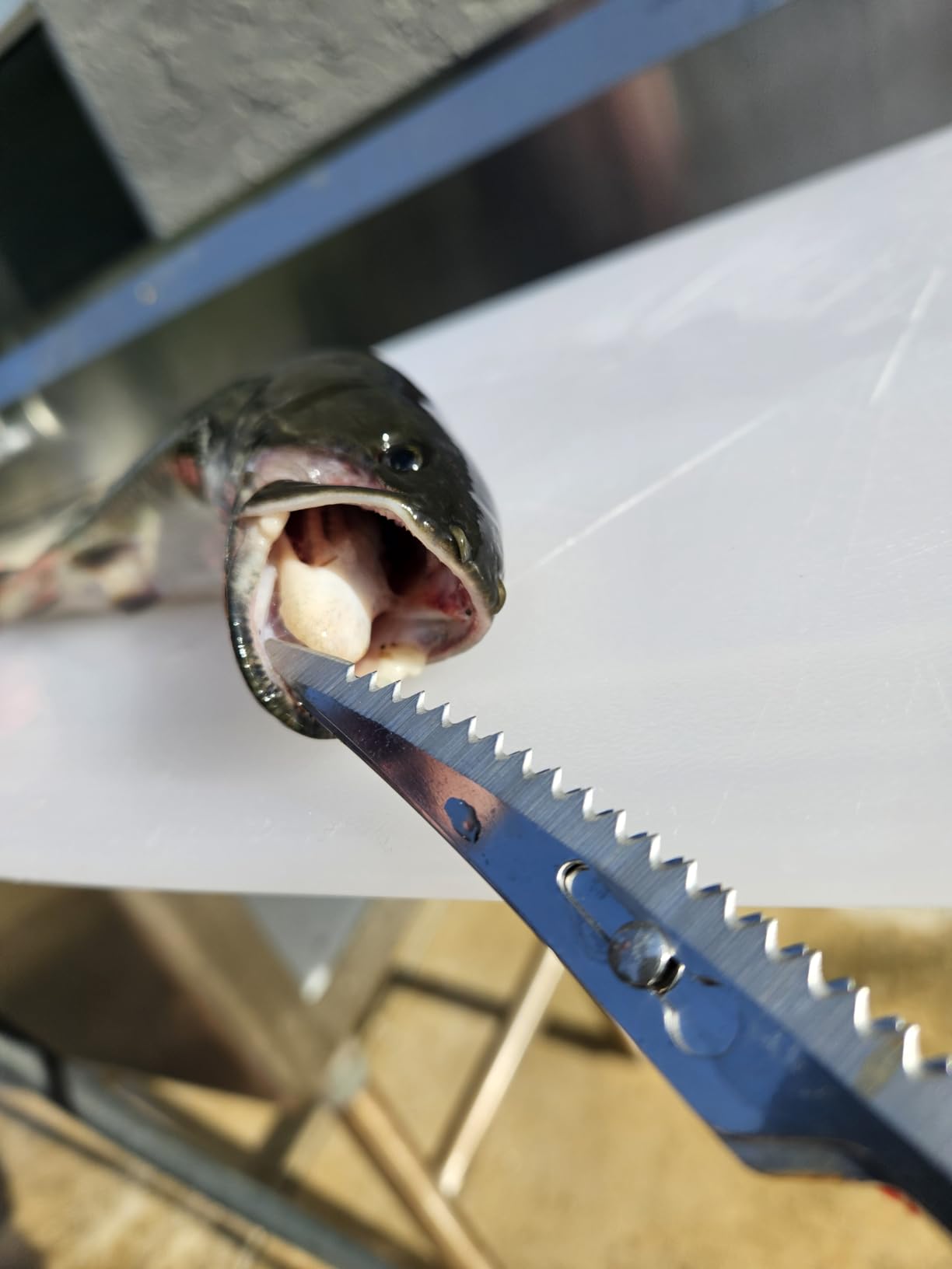 FLISSA 12V Cordless Electric Fillet Knife for Fish, 8