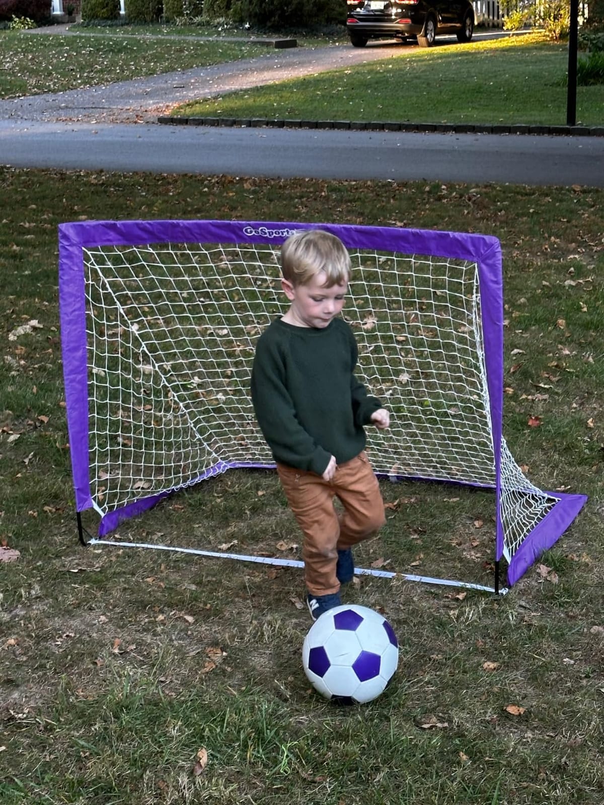 GoSports Portable Soccer Goals for Kids - 13 Color Options - Choose 4 x 3 ft or 6 x 4 ft - Team Tone Pop Up Nets for Backyard customer photo 2