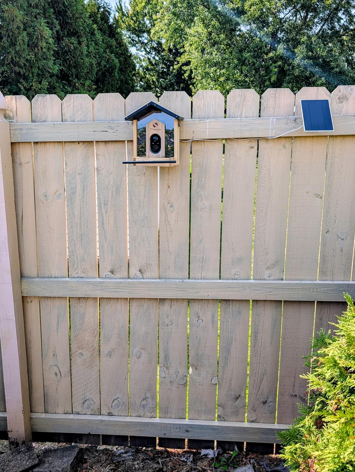 TT Nature Bird Feeder with Camera, Upgraded 1.5L Smart Birdhouse Al Identify for 10000 Plus Species, Auto Capture & Real-time Notifications, Ideal Gift for Bird Lovers (Iron Roof) customer photo 1