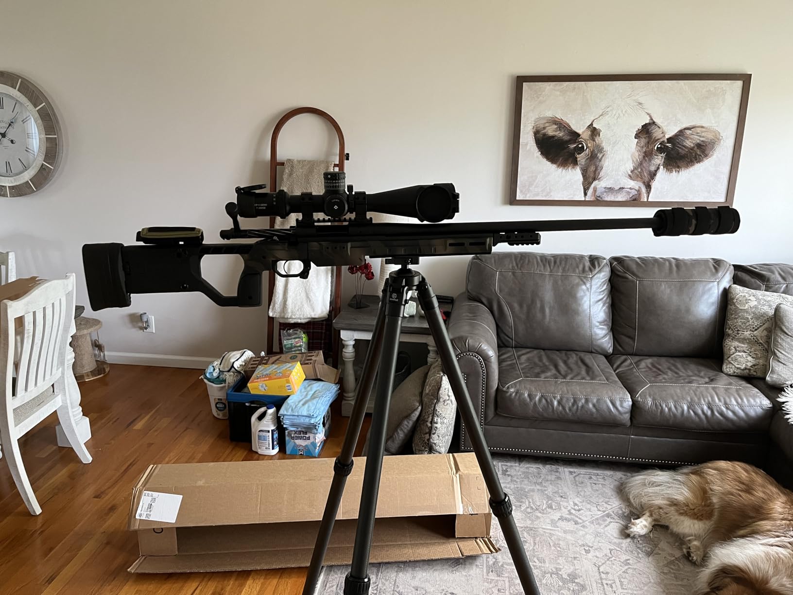 FANAUE ST‑45 Carbon Fiber Hunting Tripod Arca Swiss QR Plate Ball Head for Shooting Rifle Spotting Scope DSLR customer photo 1