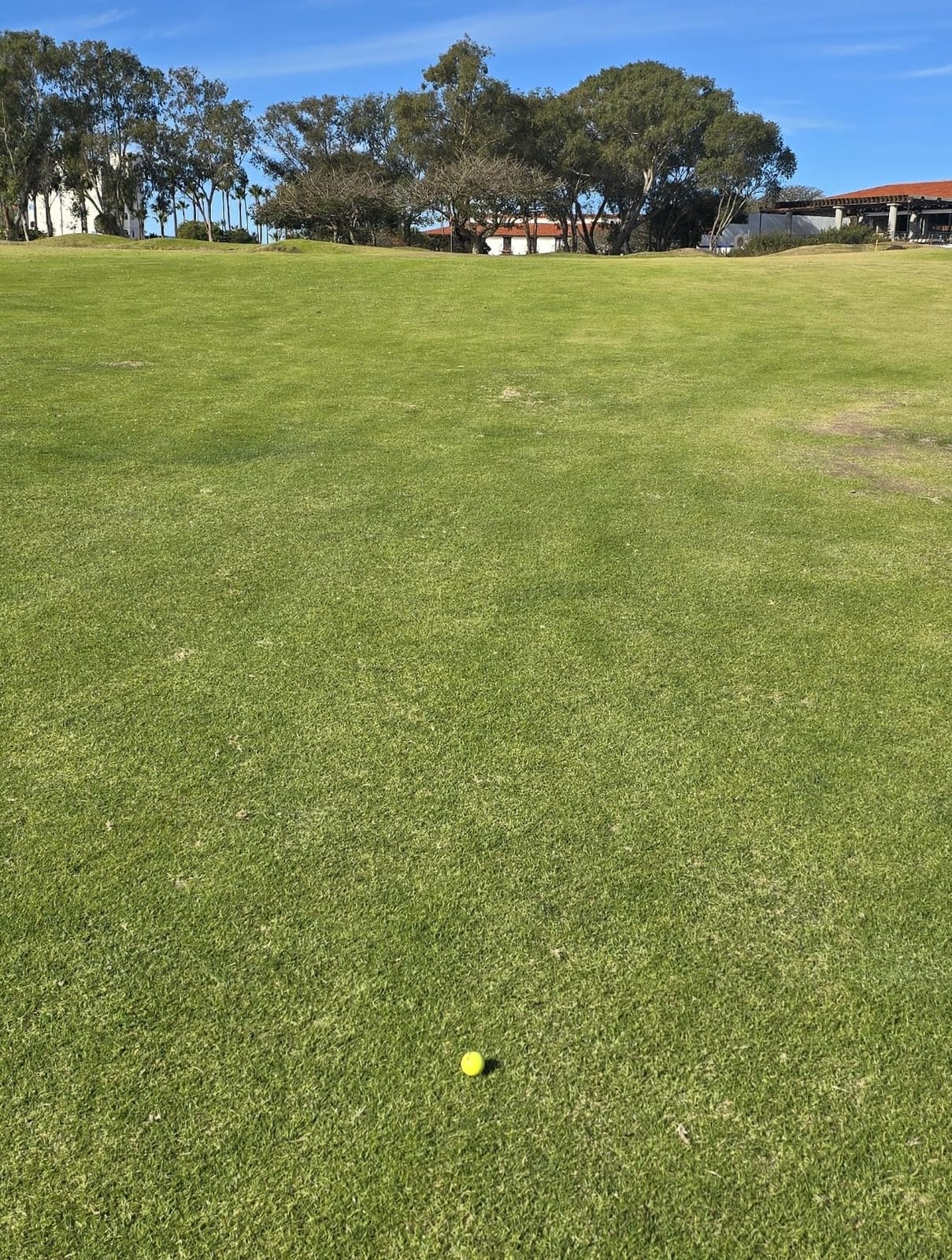 P*ss Missile Distance Golf Balls - 4-Piece Design, Surlyn Cover, High Compression Core - Lower Spin, Better Trajectory for Longer, Straighter Shots customer photo 1