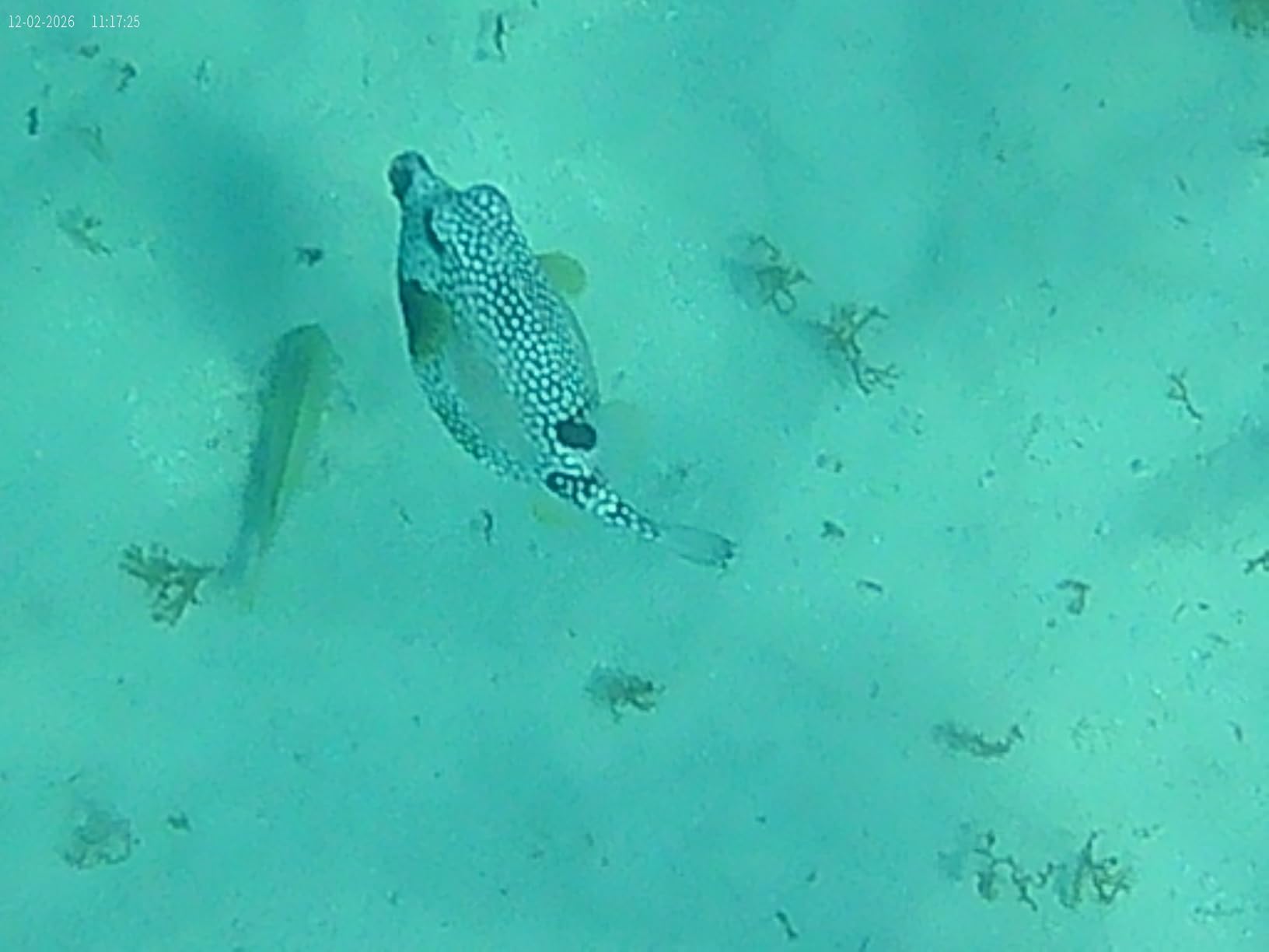 4K 60FPS Action Camera - 48MP Waterproof Camera, 40M Underwater, 8X Zoom, EIS Stabilization customer photo 2