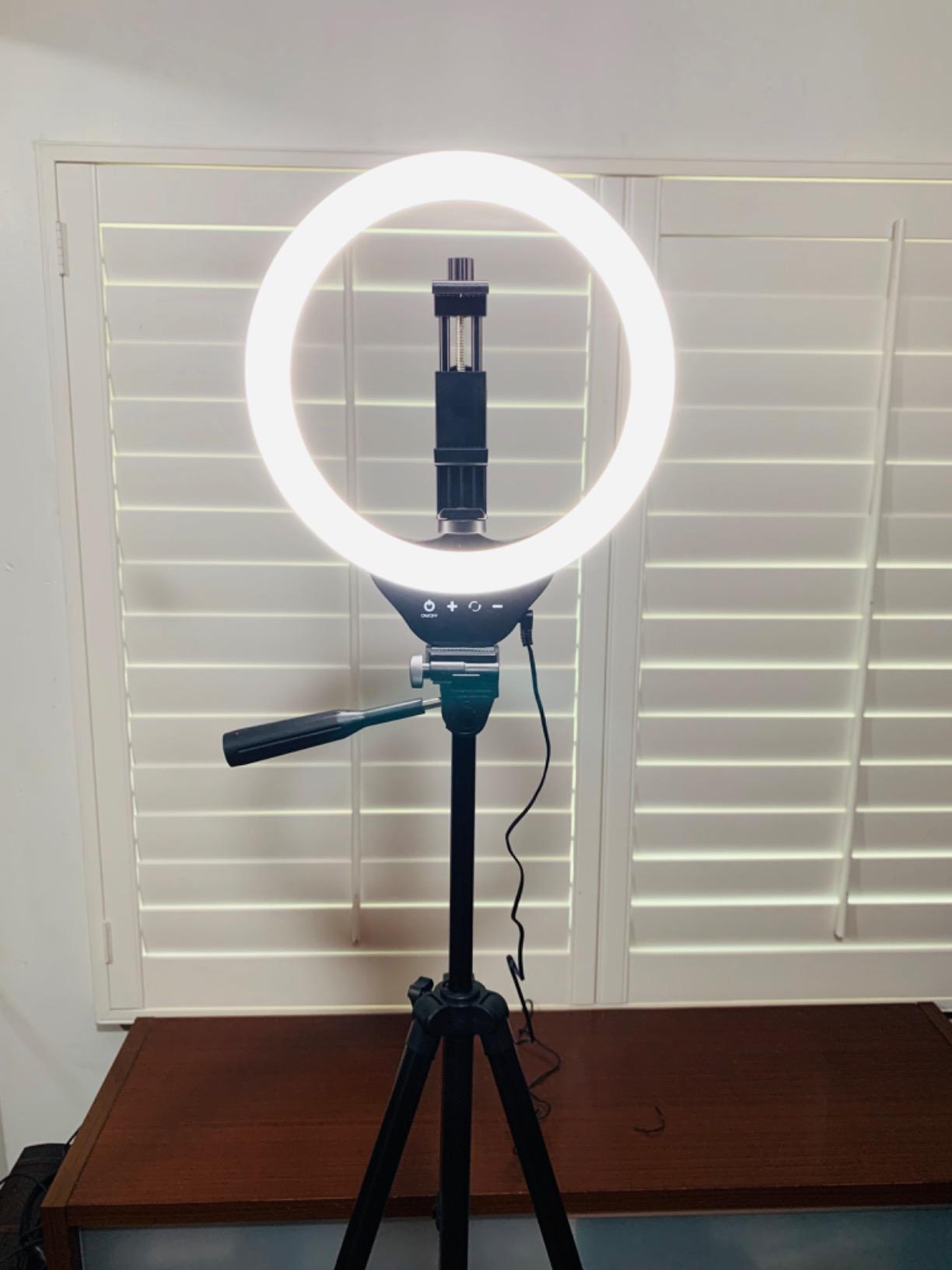 Torjim 11 Inch Video Light Kit for Creators-24W High Brightness Studio Lights with Tripod Stand & Phone Holder & Remote, Adjustable Photography Lighting for Clearer YouTube Streaming Home Studio customer photo 2