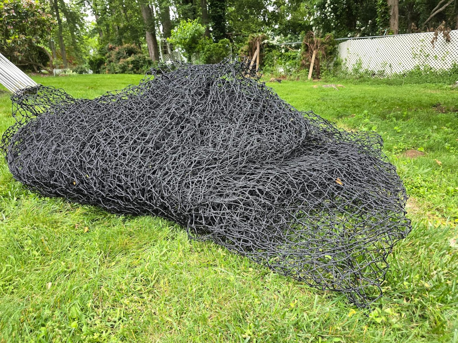Baseball Batting Cage, 20/35/55/70FT Baseball Nets for Batting Cage，Baseball and Softball Batting Cage Nets for Pitching Training, Outdoor Backyard Batting Cage with Frame customer photo 1