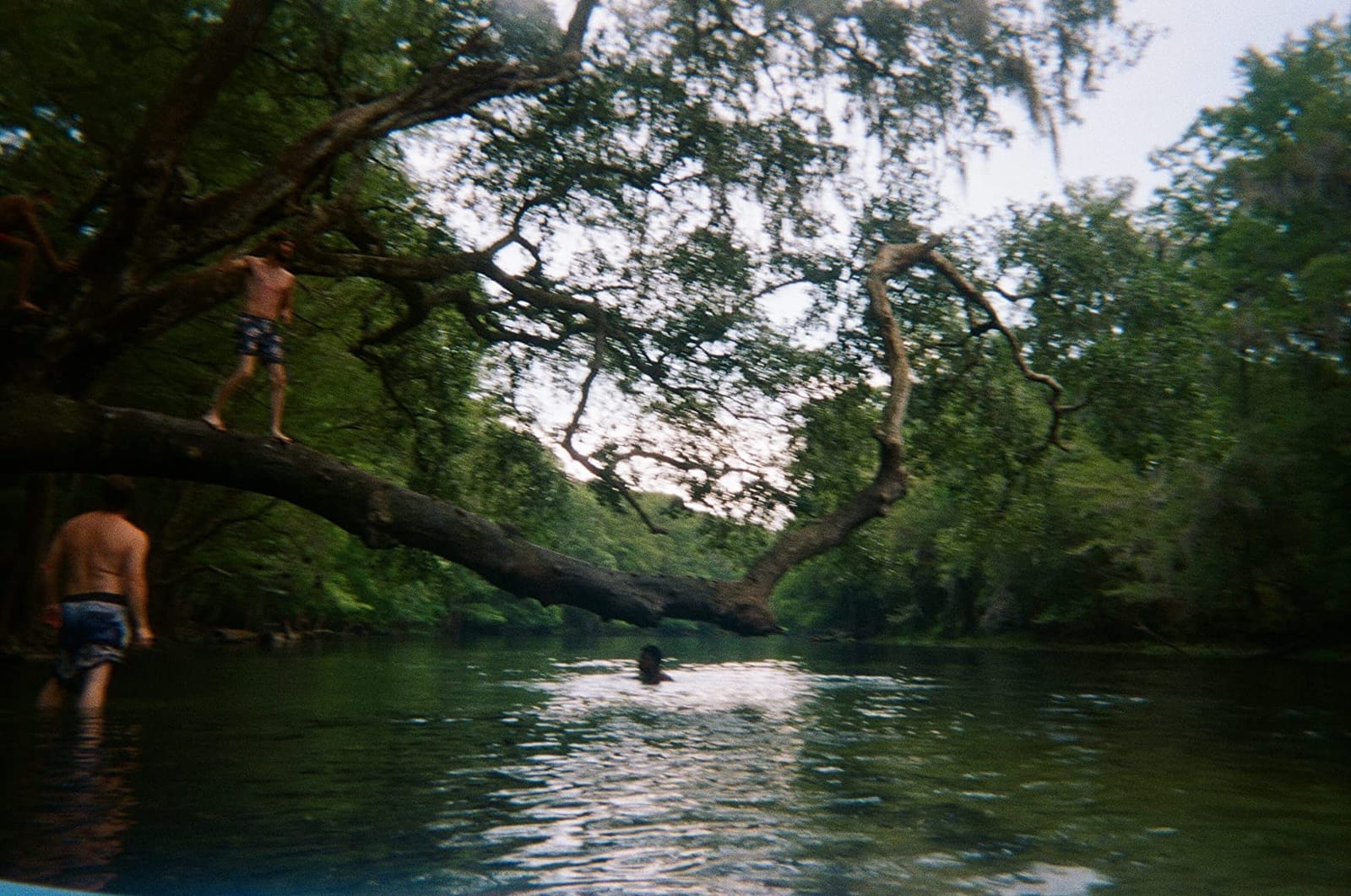 Fujifilm QuickSnap 800 Waterproof 35mm One-Time-Use Disposable Camera (Single) customer photo 2