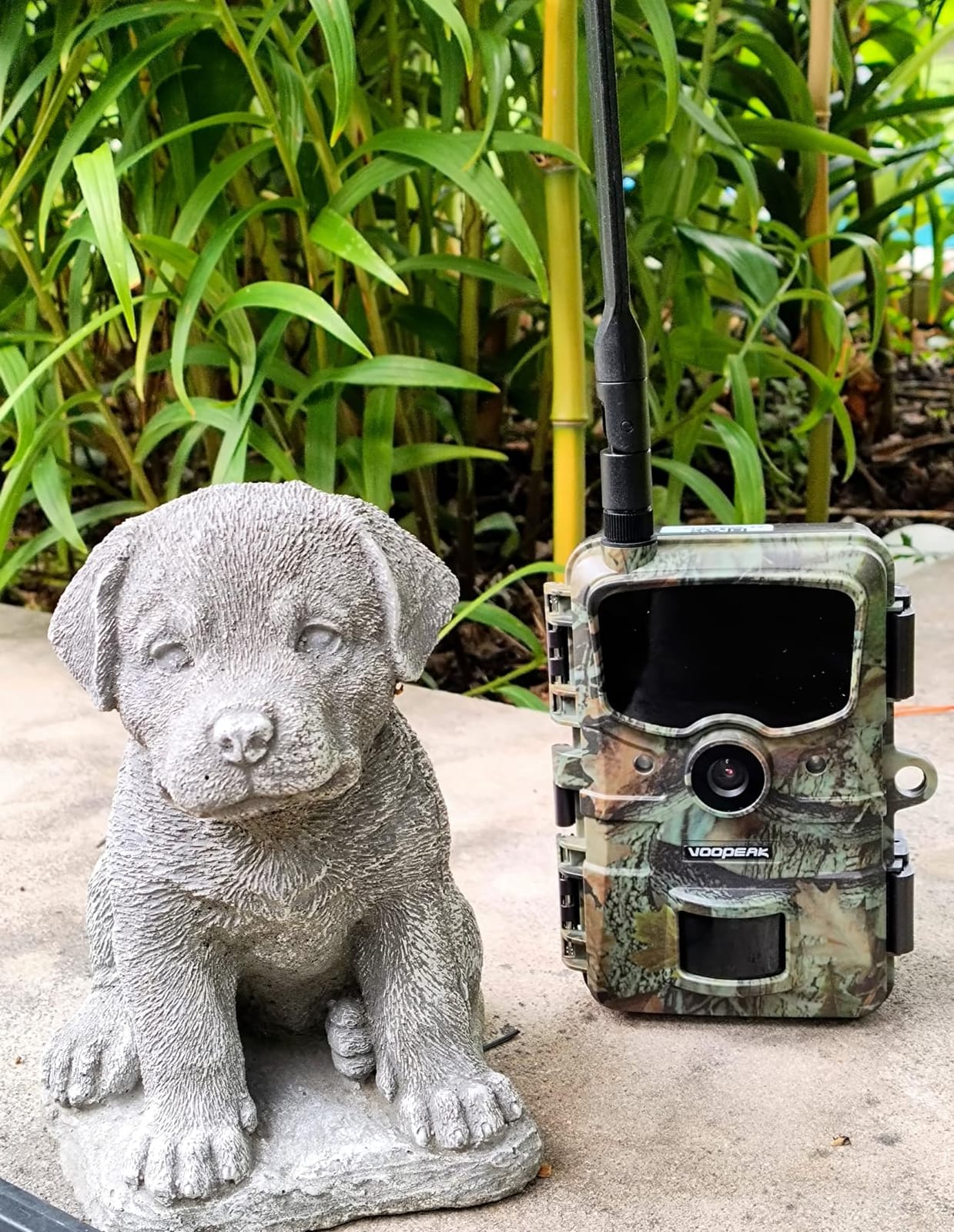 Trail Camera Starlight Night Vision WiFi, Dual Lens Bluetooth 60MP 4K 30FPS | 940NM Solar Game Camera, Trail Cameras with Night Vision Motion Activated Waterproof Loop Recording for Wildlife Monitoring customer photo 2