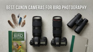 best canon cameras for bird photography
