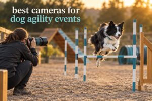 best cameras for dog agility events