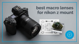 best macro lenses for nikon z mount