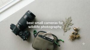 best small cameras for wildlife photography