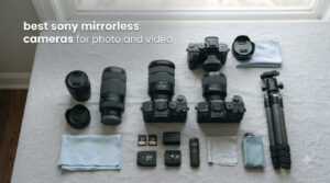 best sony mirrorless cameras for photo and video