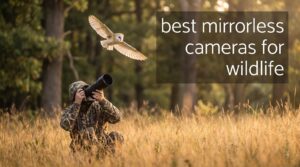 best mirrorless cameras for wildlife