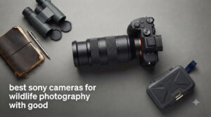 best sony cameras for wildlife photography with good