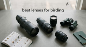best lenses for birding