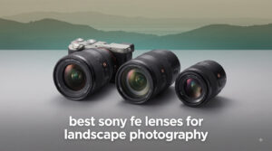best sony fe lenses for landscape photography