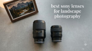 best sony lenses for landscape photography