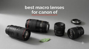 best macro lenses for canon ef