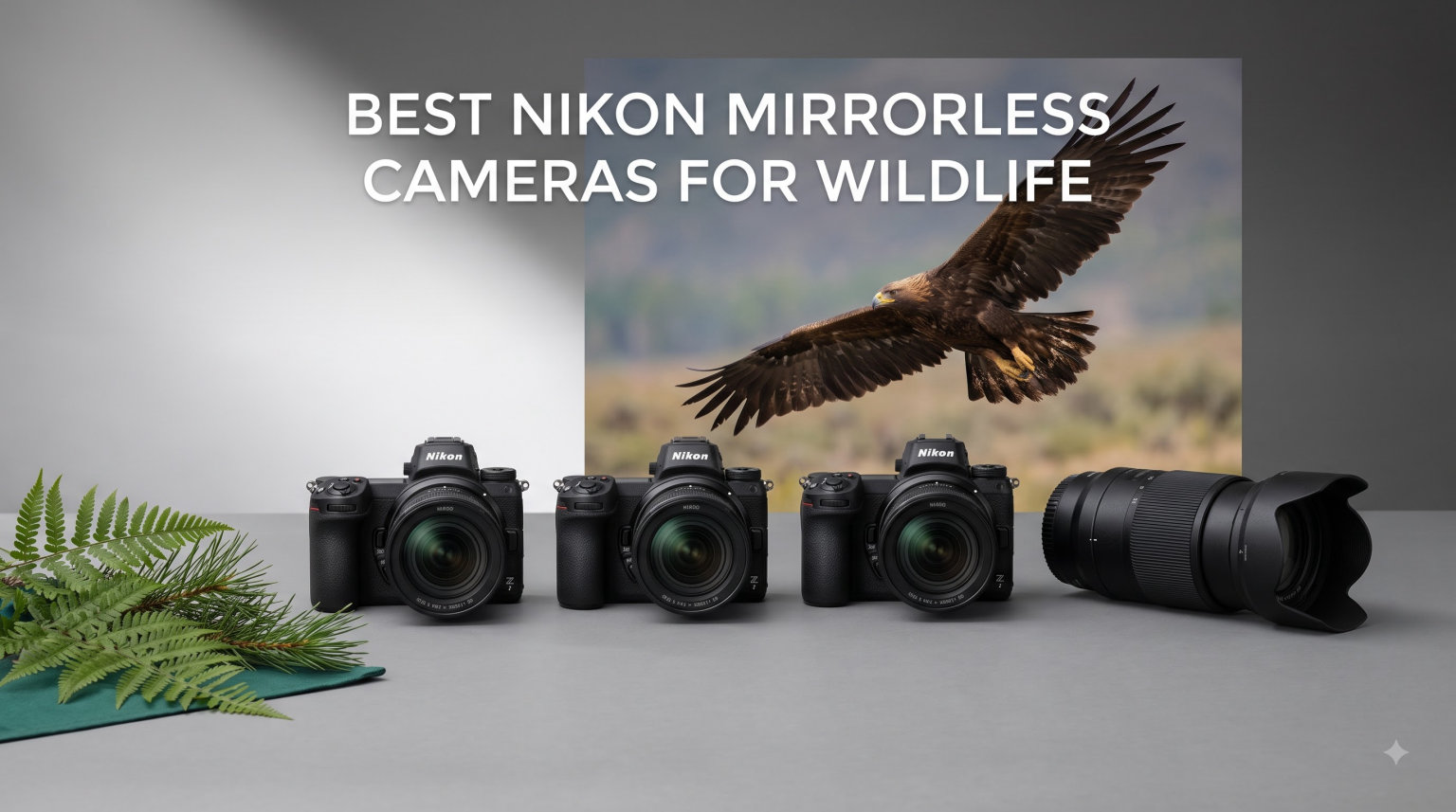 best nikon mirrorless cameras for wildlife