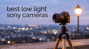 best low light sony cameras