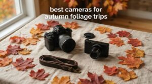 best cameras for autumn foliage trips