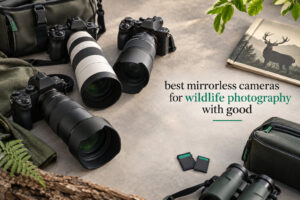 best mirrorless cameras for wildlife photography with good