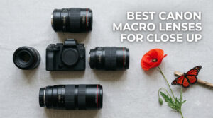 best canon macro lenses for close up