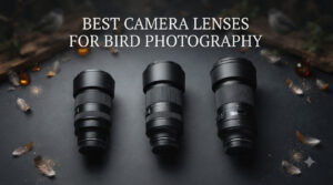 best camera lenses for bird photography