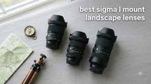 best sigma l mount landscape lenses