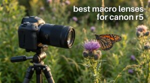 best macro lenses for canon r5