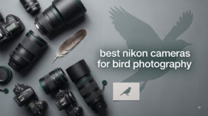 best nikon cameras for bird photography