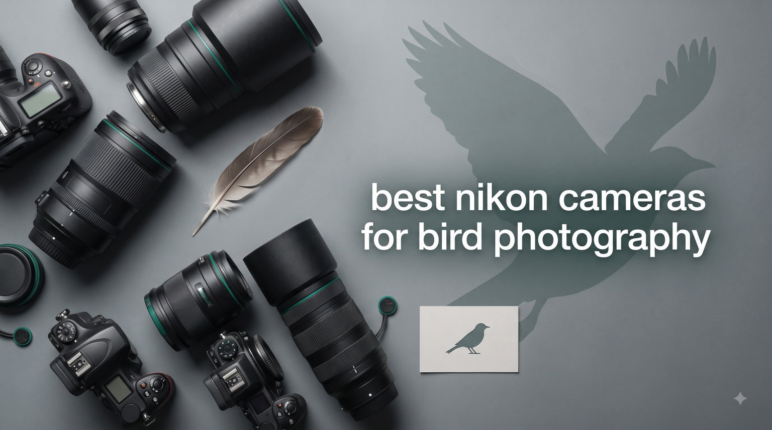 best nikon cameras for bird photography