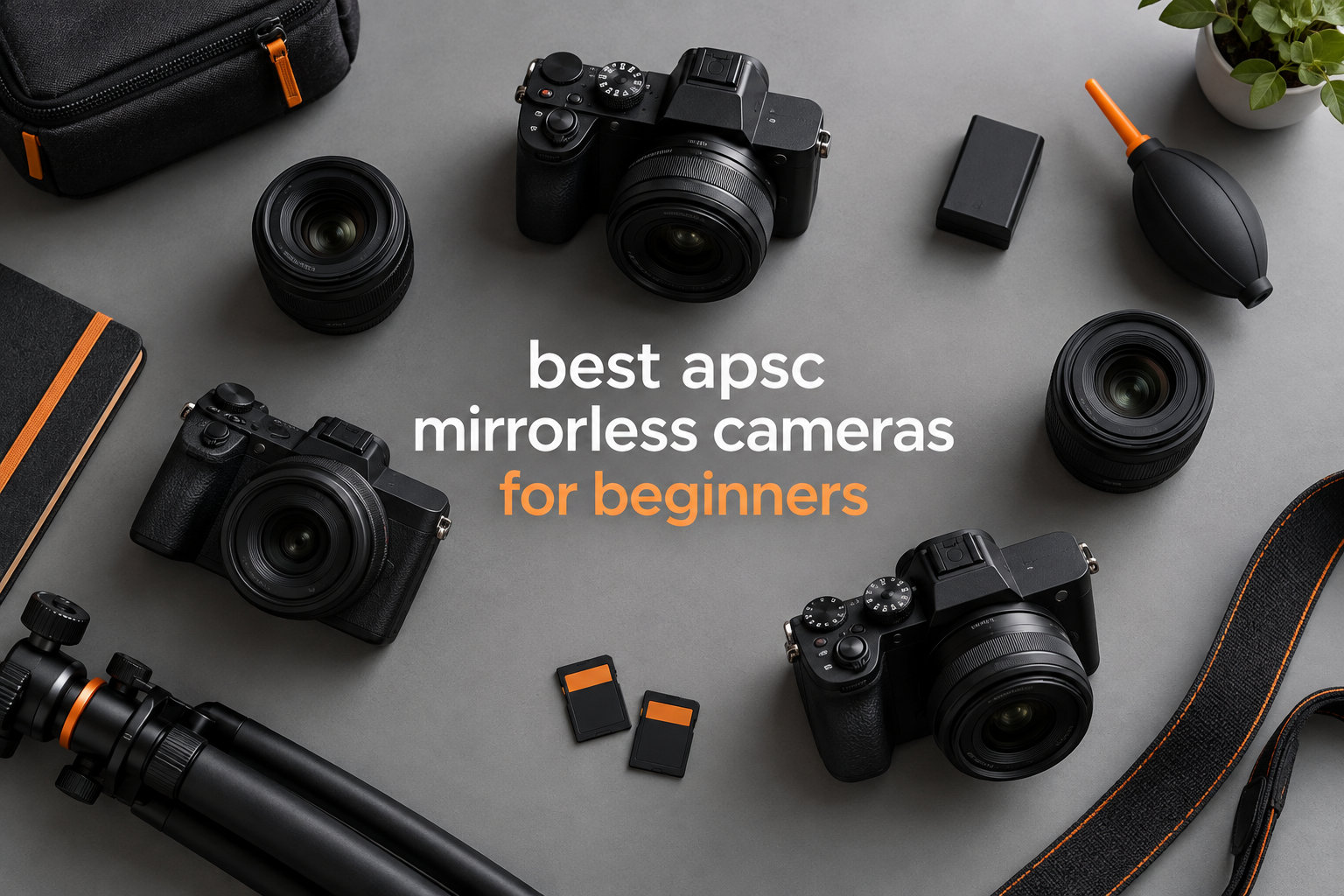 best apsc mirrorless cameras for beginners