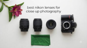 best nikon lenses for close up photography