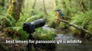 best lenses for panasonic g9 ii wildlife