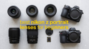 best nikon z portrait lenses for beginners