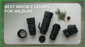 best nikon z lenses for wildlife