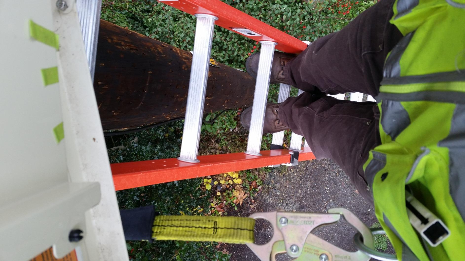 Carhartt B236 Dungaree customer photo 2