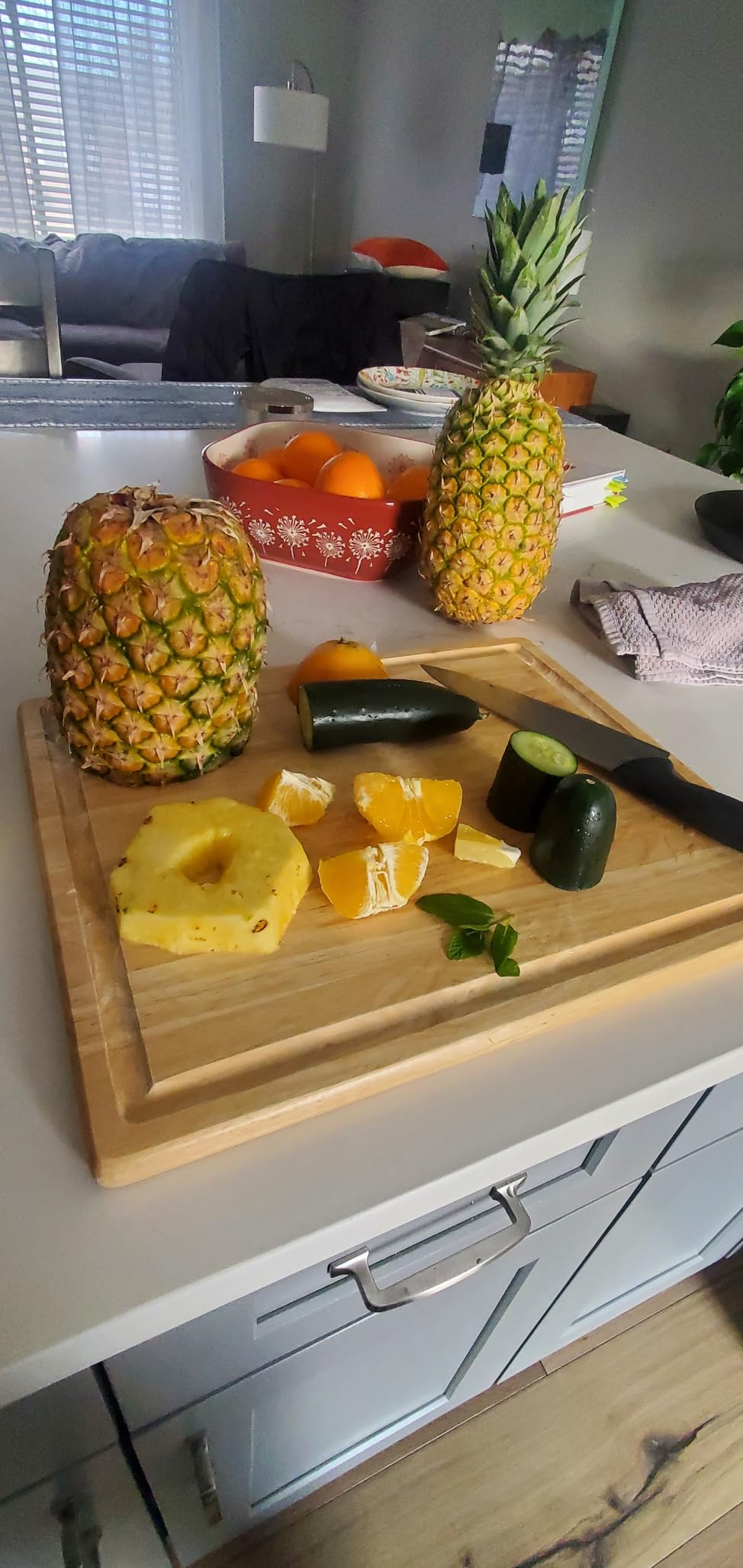 Breville Juice Fountain Compact customer photo 2