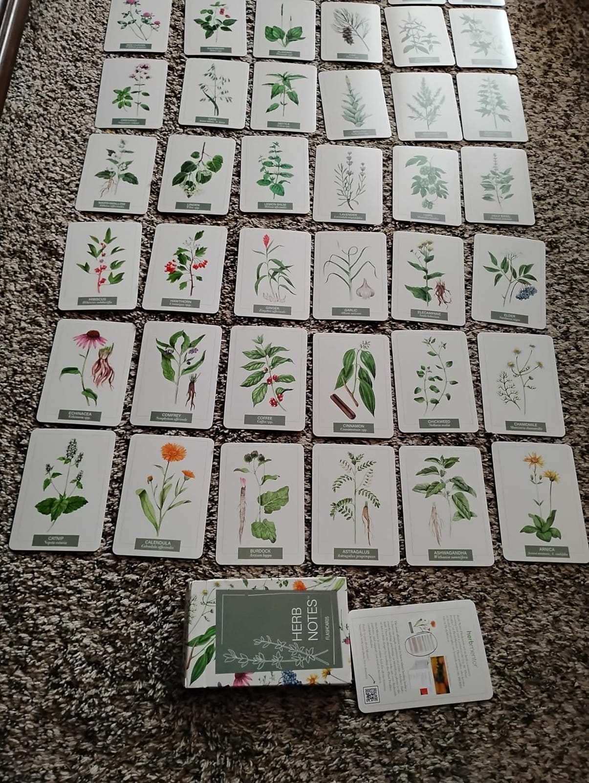 Wildcraft! Cooperative Games for Kids 4+, Learn 25 Herbs, Family Game customer photo 1