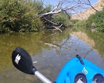 Bending Branches Whisper Kayak Paddle – 2‑Piece Aluminum Shaft, Polypropylene Blades, Adjustable 0°/60° Feathering, Black Comfort Grips, Dihedral Blade Design for Recreational Paddling customer photo 2