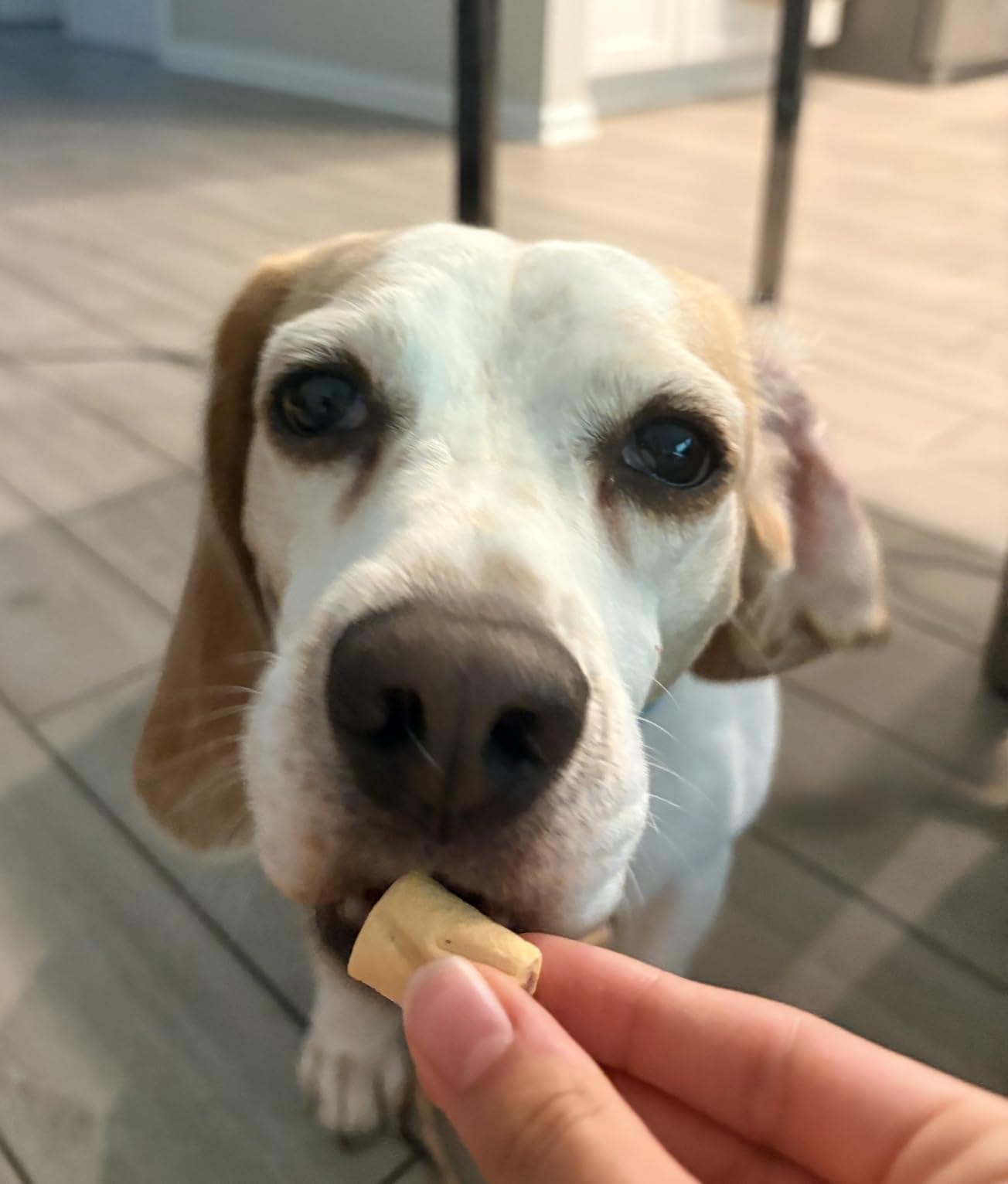 Milk-Bone MaroSnacks customer photo 1
