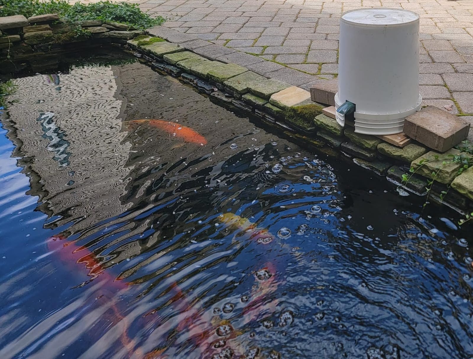 Fish Mate P7000 Automatic Pond Fish Feeder, 7 Litre Capacity customer photo 1